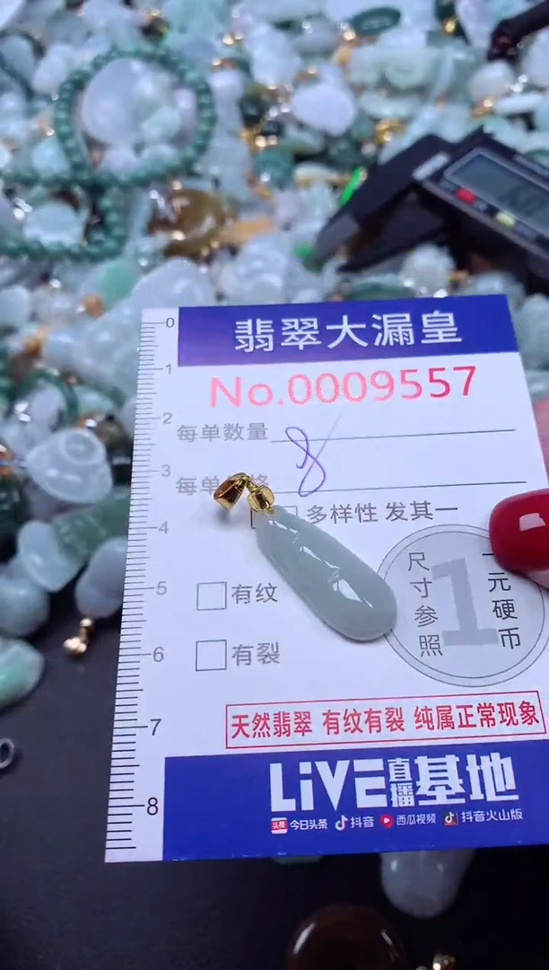 颈饰未镶嵌翡翠9577