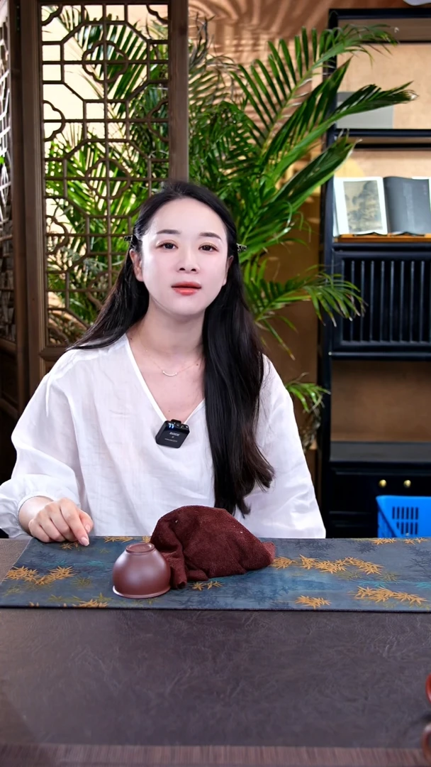 茶壶紫砂2宜兴紫砂壶惊喜