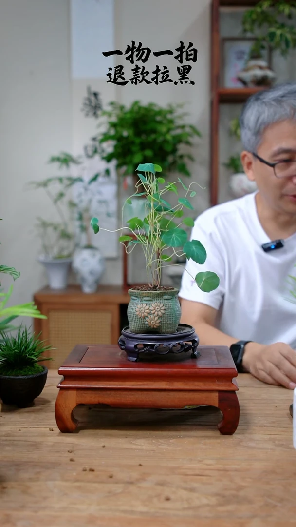 完全开放黄*千山乌龟423