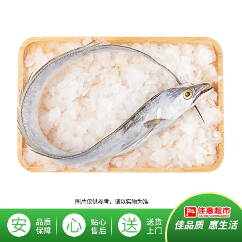 带鱼约1200g/左右
