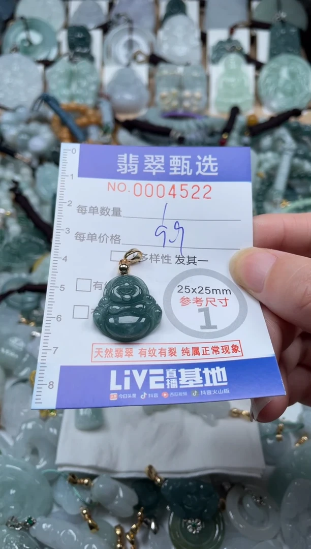 翡翠未镶嵌颈饰00..4522