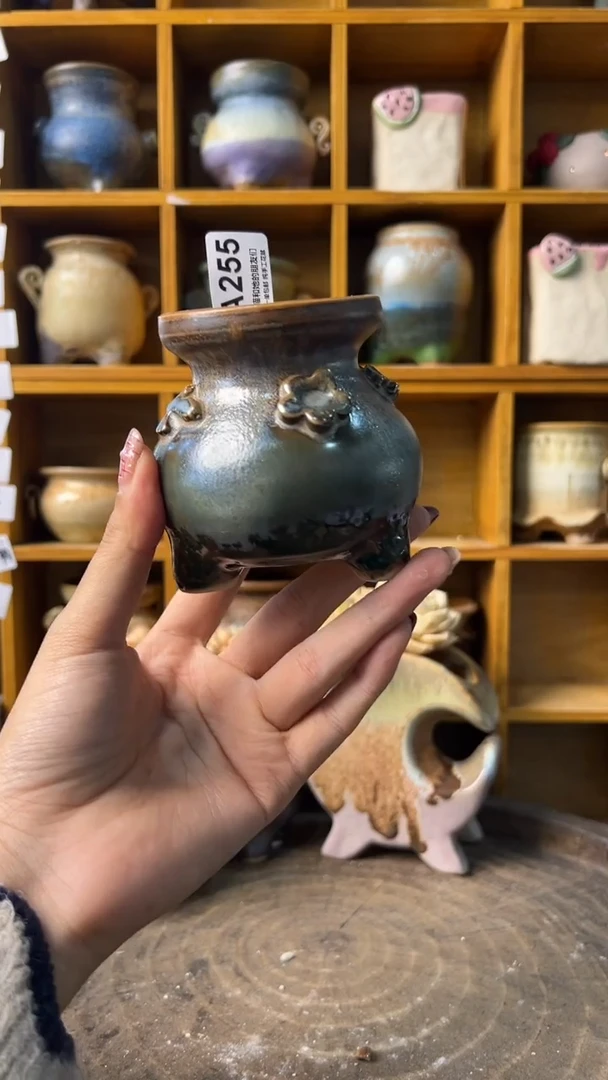 255内口5【多肉花盆多肉盆】