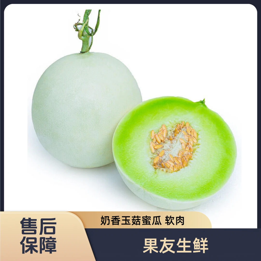 【奶香蜜玉菇蜜瓜】软肉 2颗/份   仅限太原晋中吕梁忻州可拍