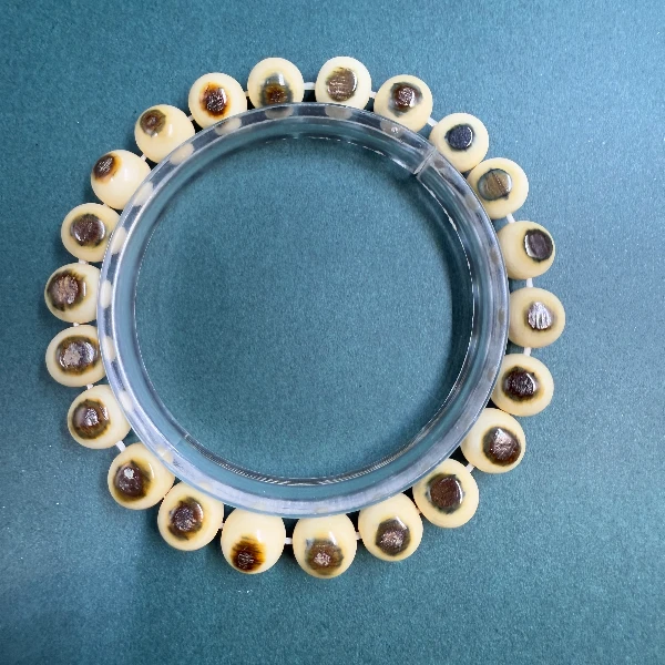 K3256天然猛犸牙蓝眼手串 支持鉴定 假一罚四