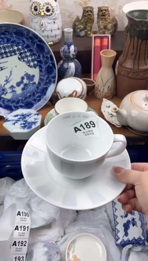 【闪购商品】瓷片               A189