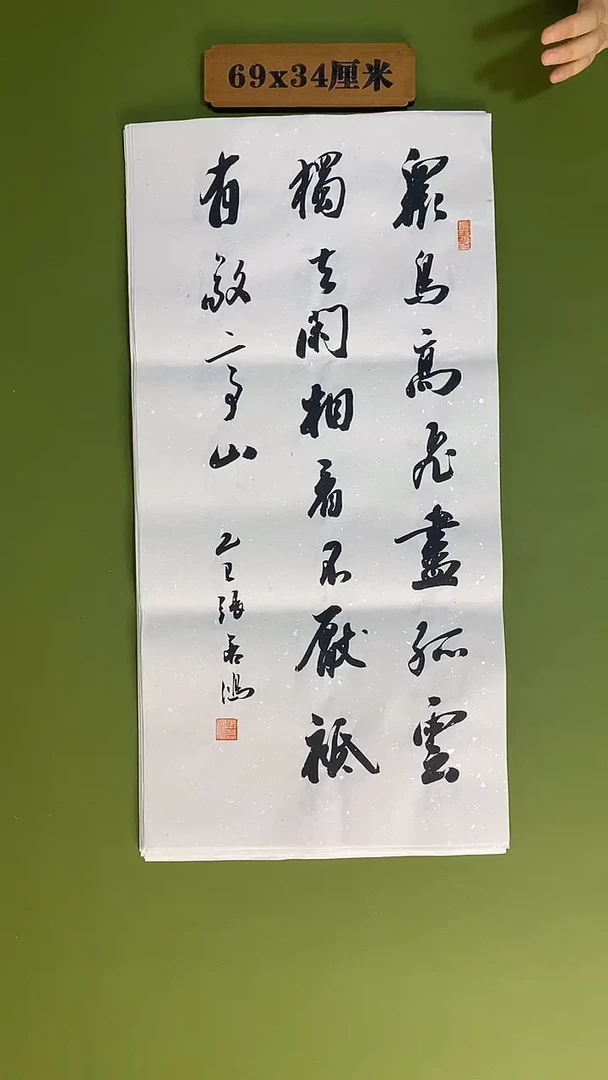 书法书法 张若鸿 尺寸69cm*34cm