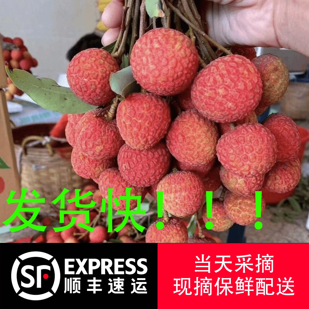 【发货快】顺丰黑叶荔枝新鲜乌叶荔枝现摘现发爆甜爽口大果整箱6斤