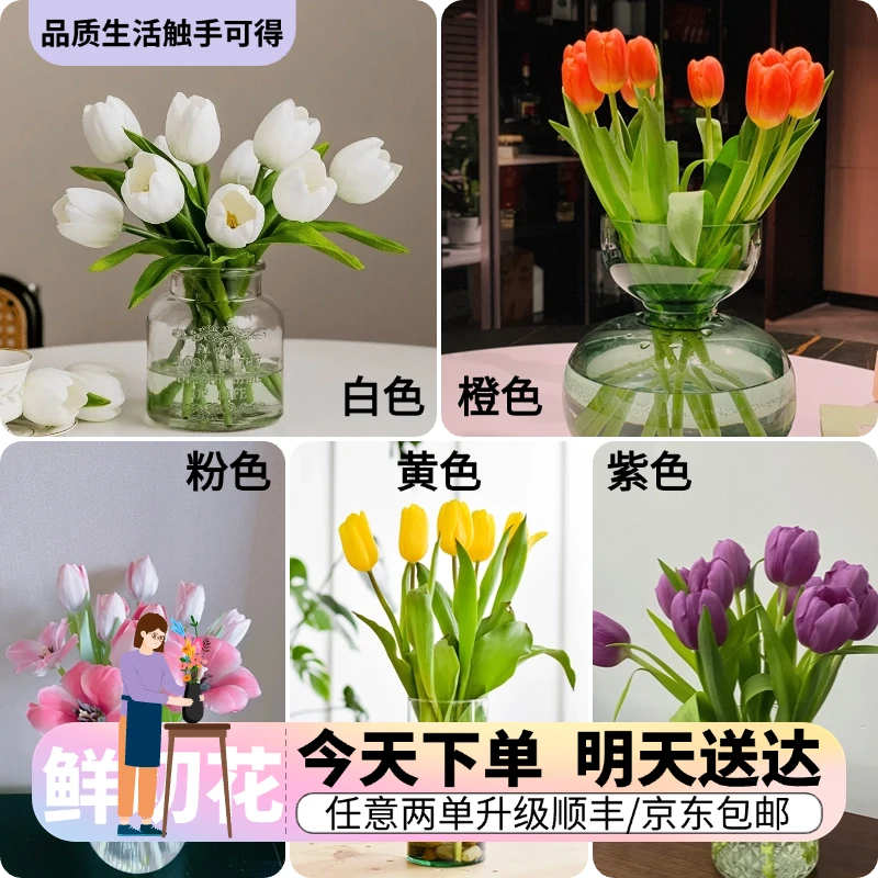 『郁金香』今日下单明日送达 生活鲜切花同城批发直播