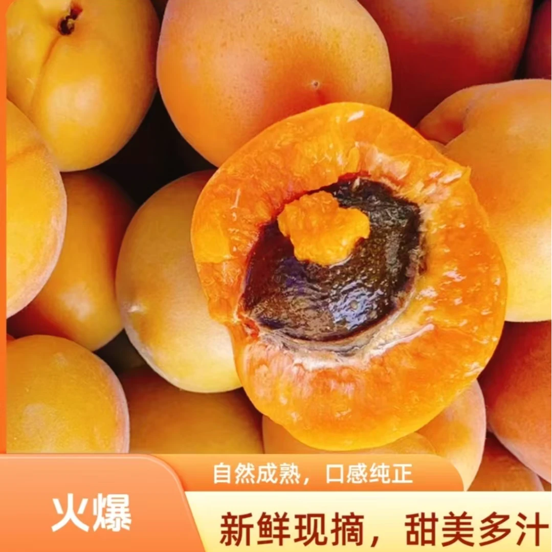 【精品】新疆吊干杏中小果 软糯甘甜原箱发货 净重3-3.5斤 京东顺丰包邮 坏果包赔新疆维吾尔自治区