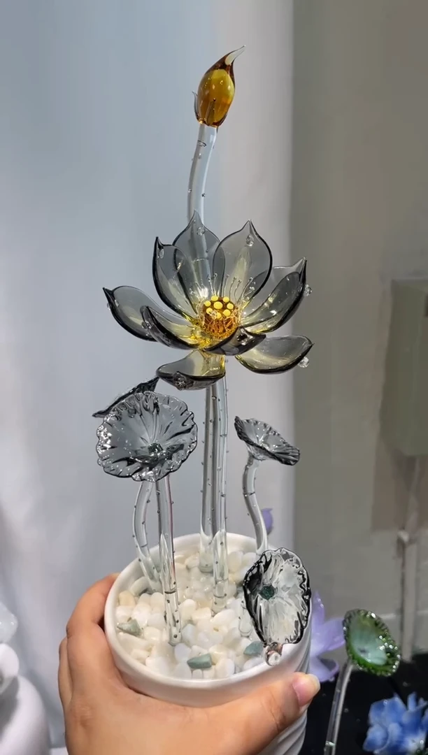 琉璃56荷花