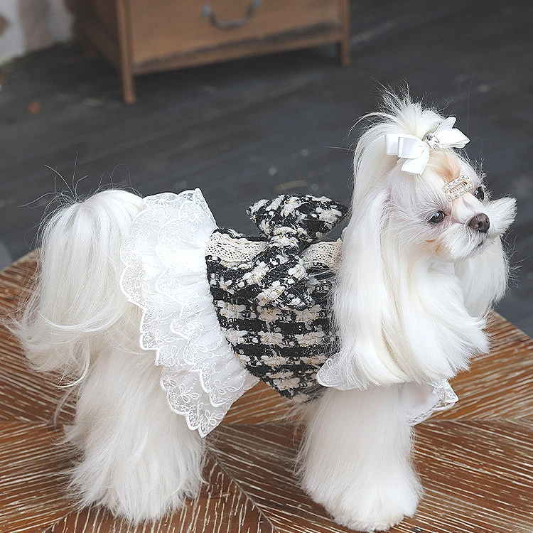 GemPaws高级感狗狗衣服小香风衣服宠物衣服华伦香风小狗秋冬衣服