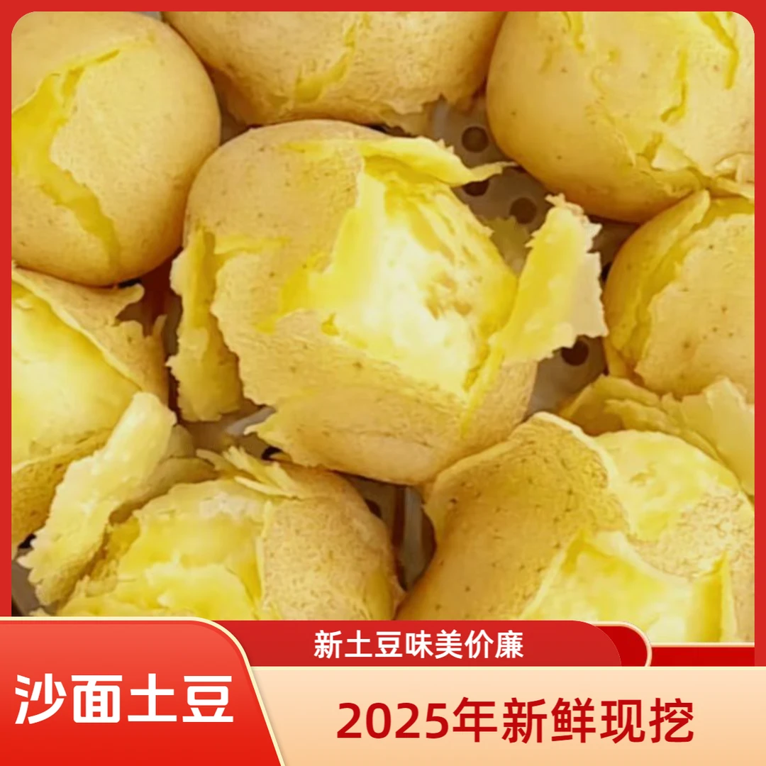 2025年新土豆甘肃定西土豆旱沙地黄心土豆产地直发农家美味土豆