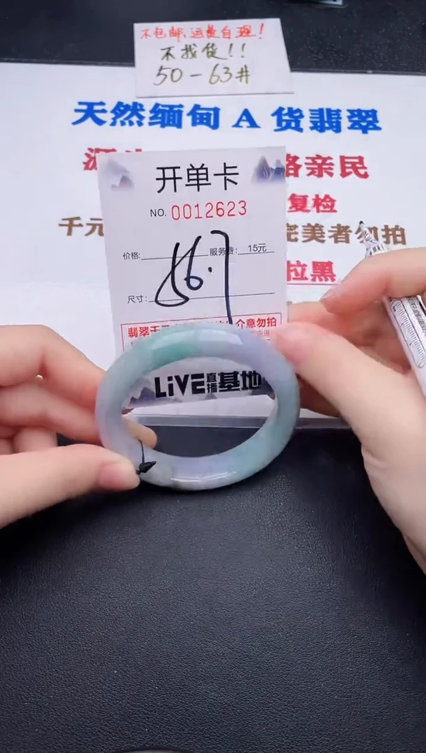 未镶嵌手镯翡翠23