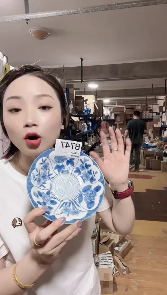 瓷片日本进口瓷器16CM碟一只B747