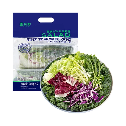 羽衣甘蓝缤纷沙拉 400g