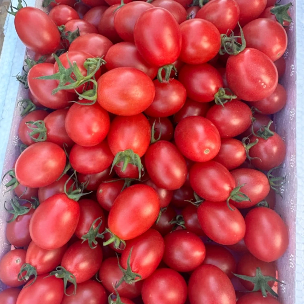 广东铭珠电白千禧1盒净果约2-2.2斤（个别裂口正常）