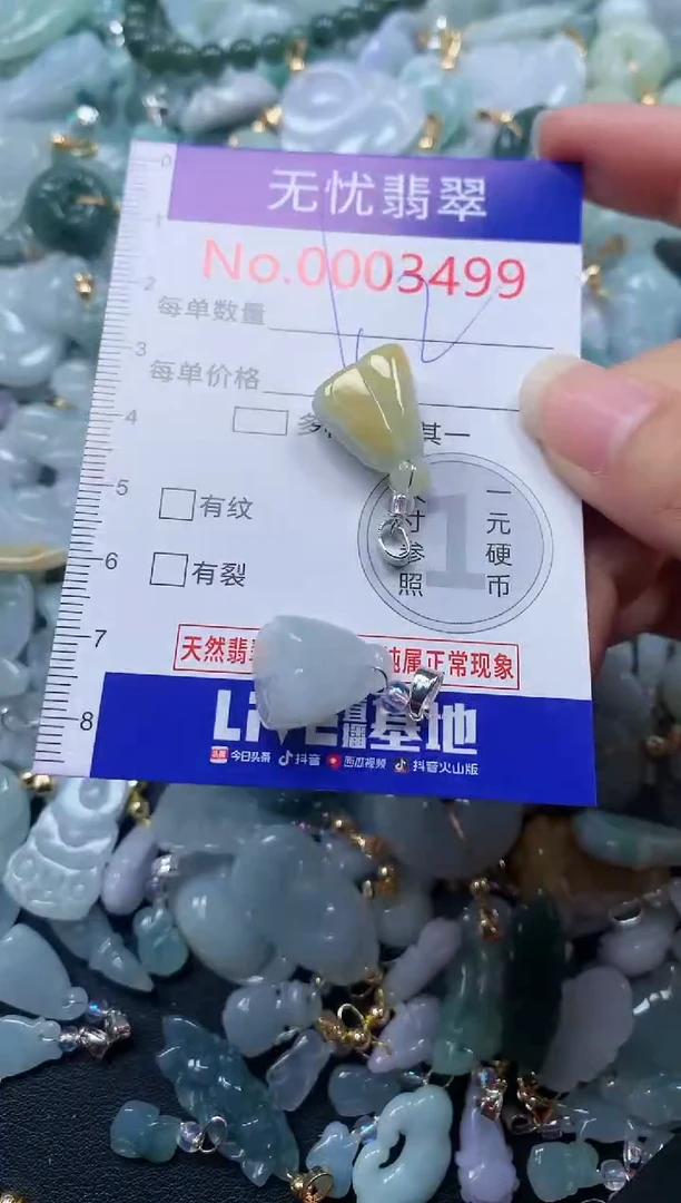 颈饰未镶嵌翡翠3499