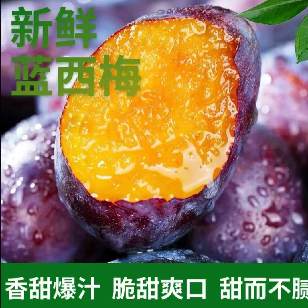 A【放软吃更甜】新鲜采摘头茬西梅鲜果酸甜可口ZXM