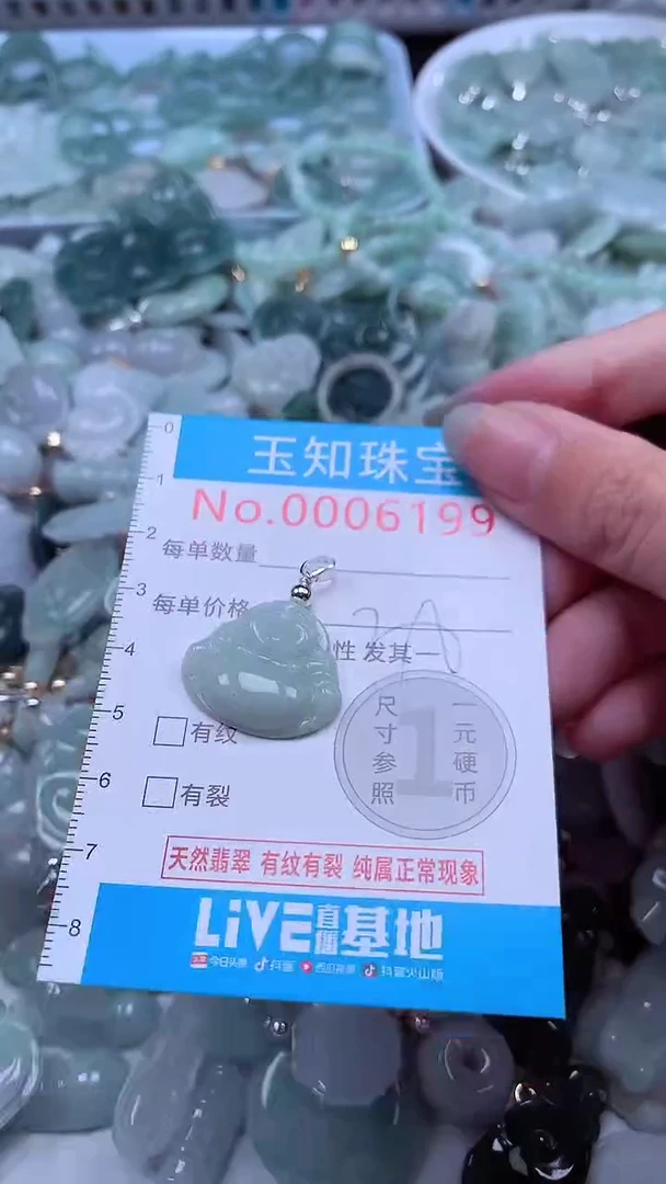 翡翠未镶嵌吊坠(不含链)6199
