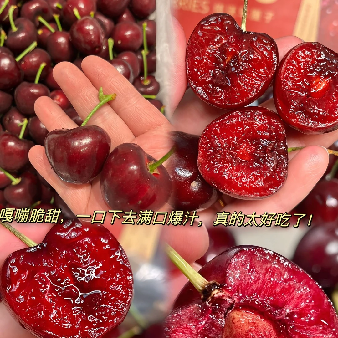 【顺丰包邮！冷链发货】山东烟台美早大樱桃国产车厘子应季鲜果