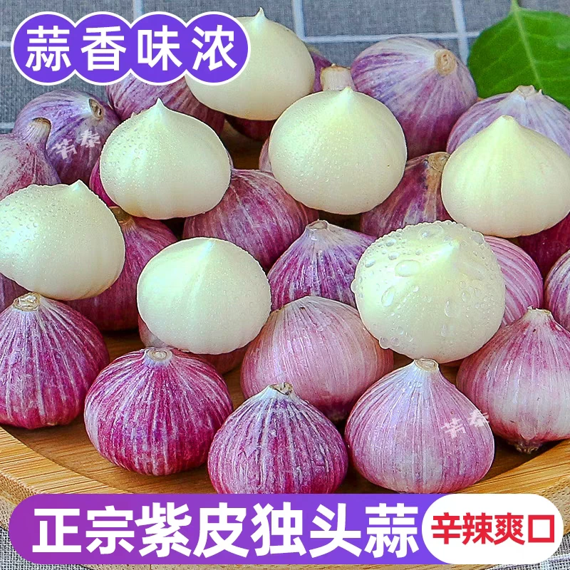 【新店半价】紫皮独头蒜新鲜独头大蒜2/3/5斤批发整箱新晒干蒜包邮