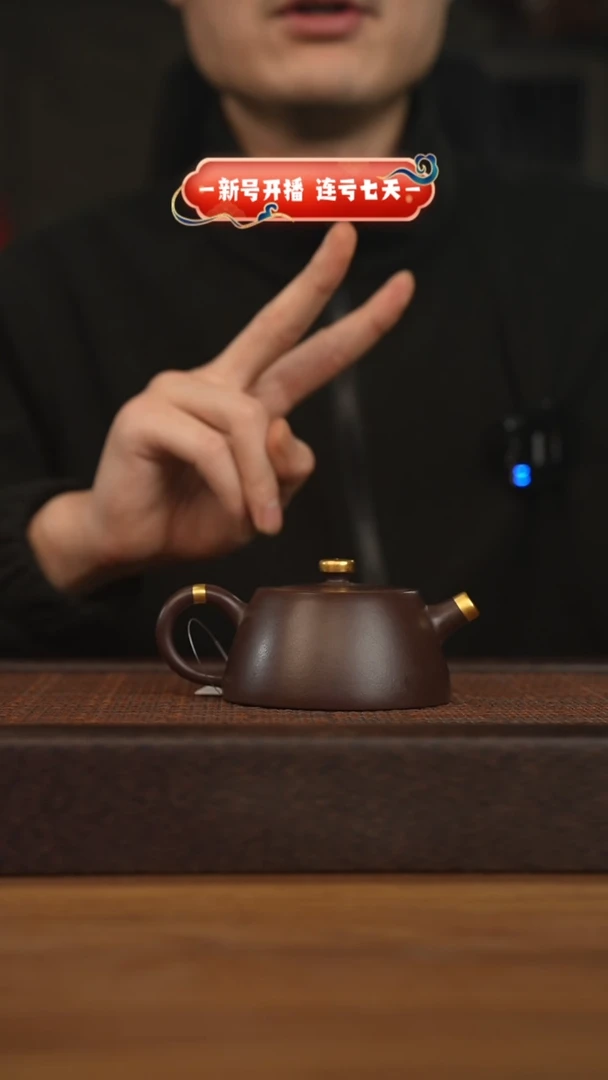 【闪购商品】紫砂茶壶宜兴原矿紫砂壶H6294