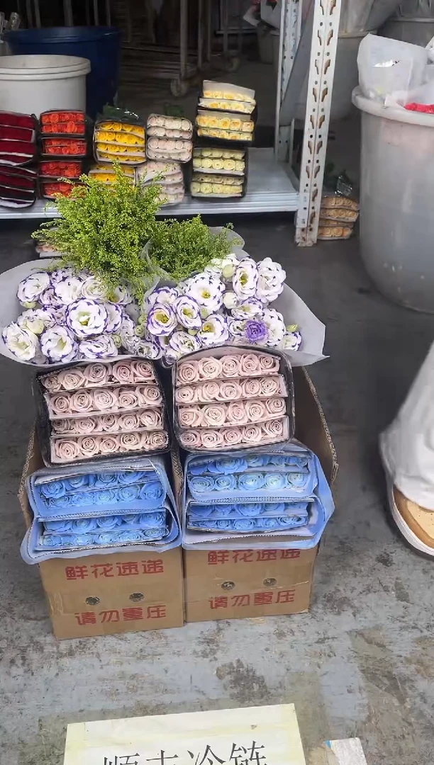 碎冰蓝20枝+曼塔20枝+紫边洋桔梗400克+黄莺