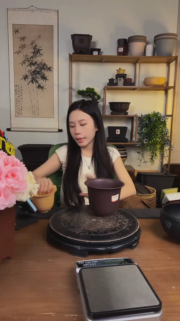 10只15口径金钟紫檀色