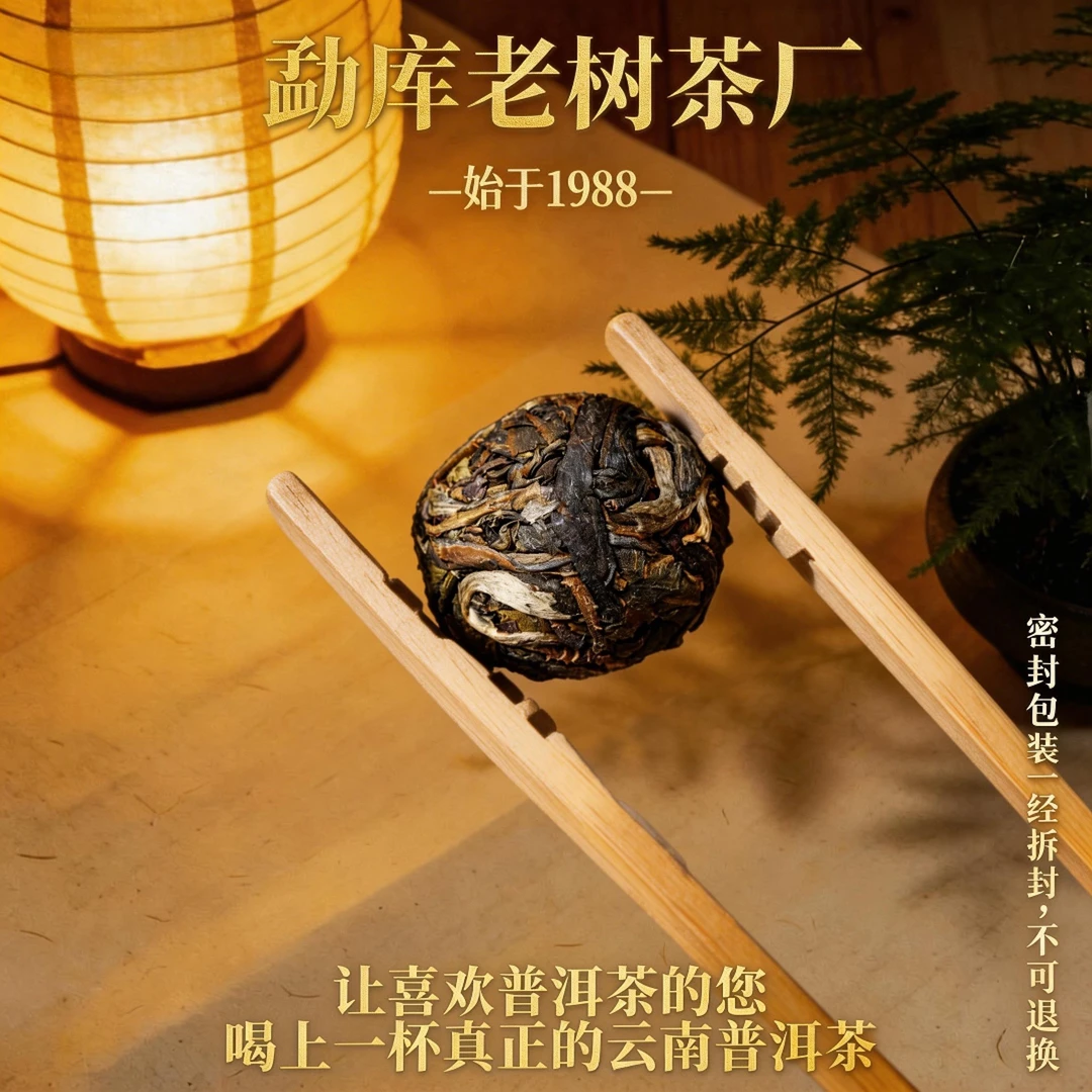 003//2021年昔归龙珠 kg【生茶】