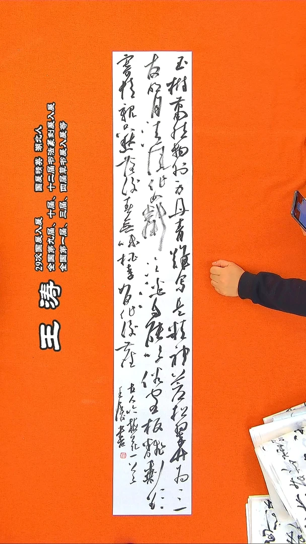 书法67R王涛书法作品