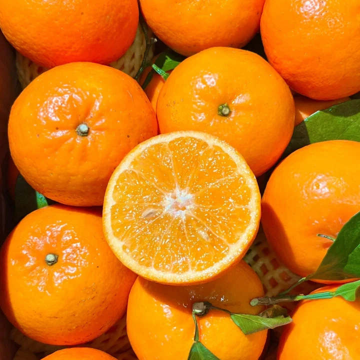 【整果】广西沃柑约1000g柑橘广西壮族自治区广西壮族自治区南宁市