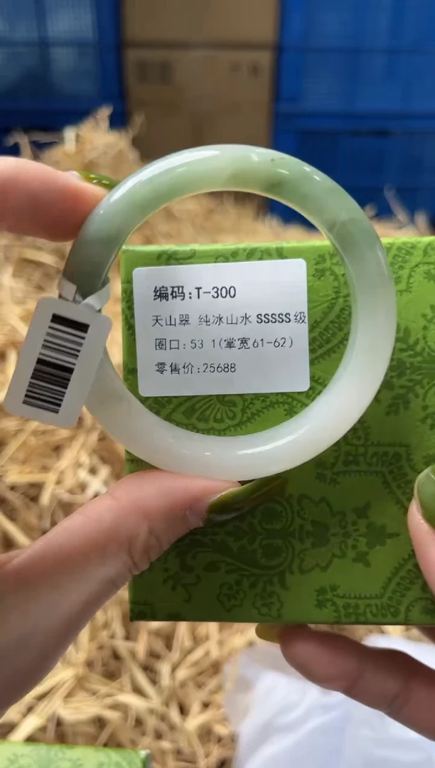 未镶嵌手镯石英质玉T300