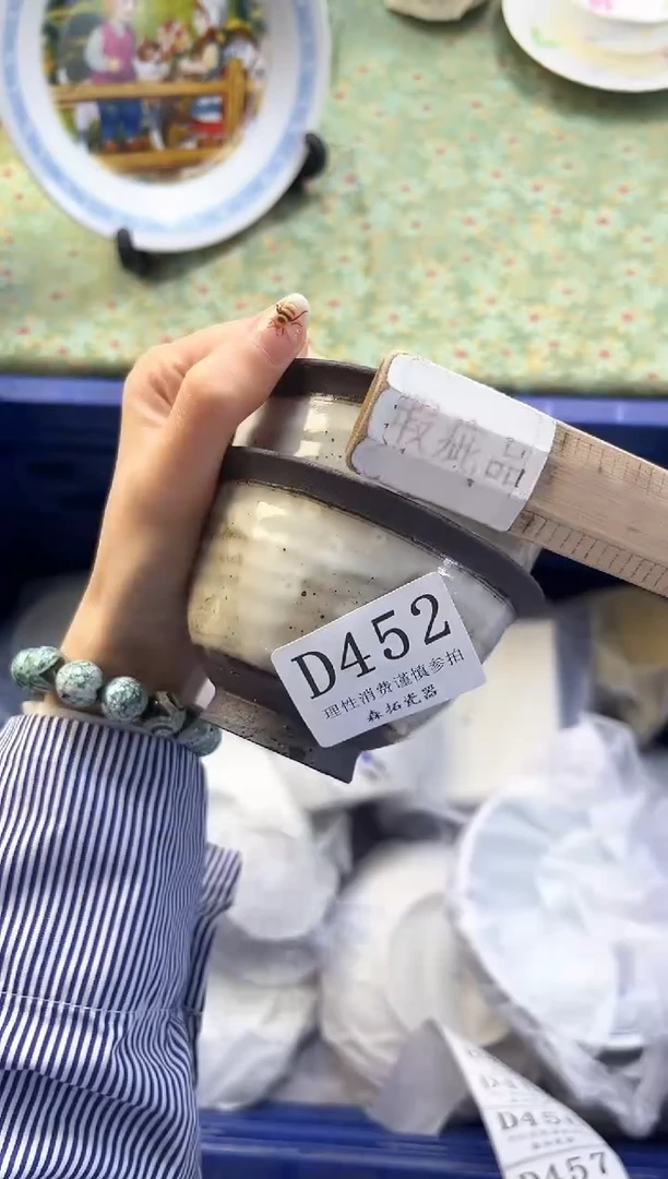 【闪购商品】瓷片          D452