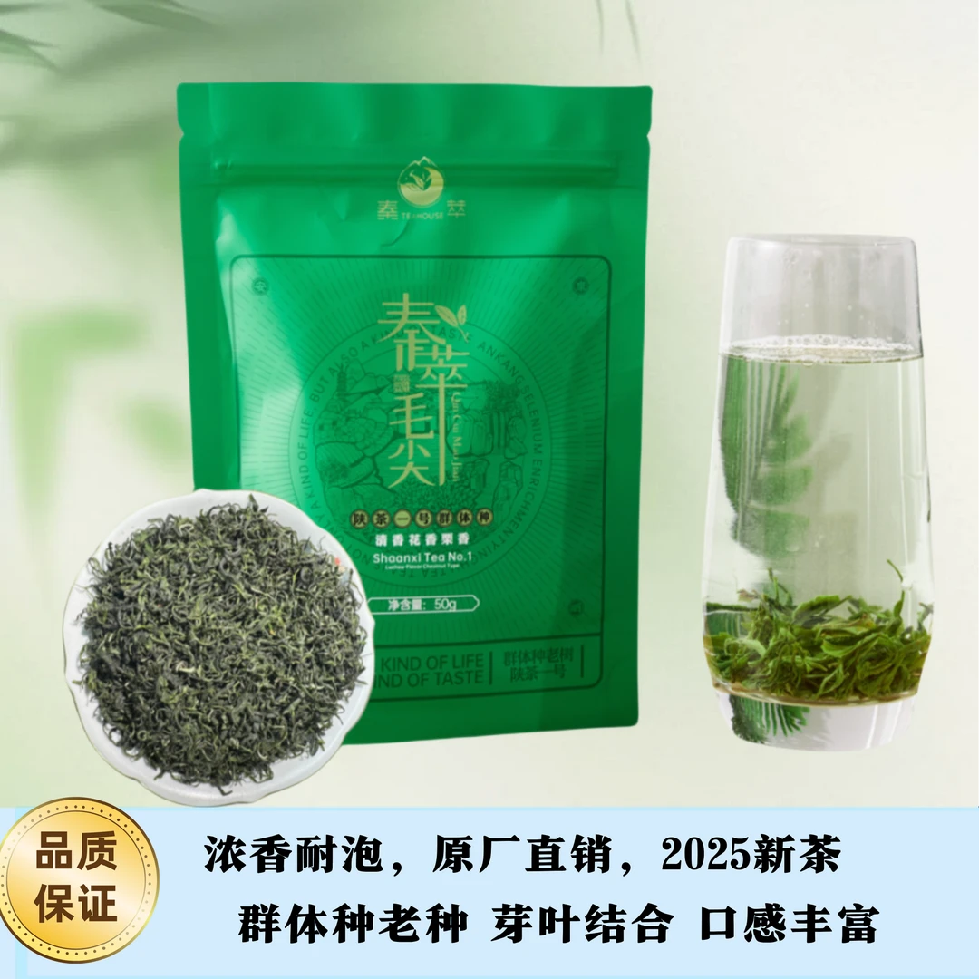 陕西安康新茶2025（群体毛尖）群体种紫阳毛尖雨前高山口粮绿茶