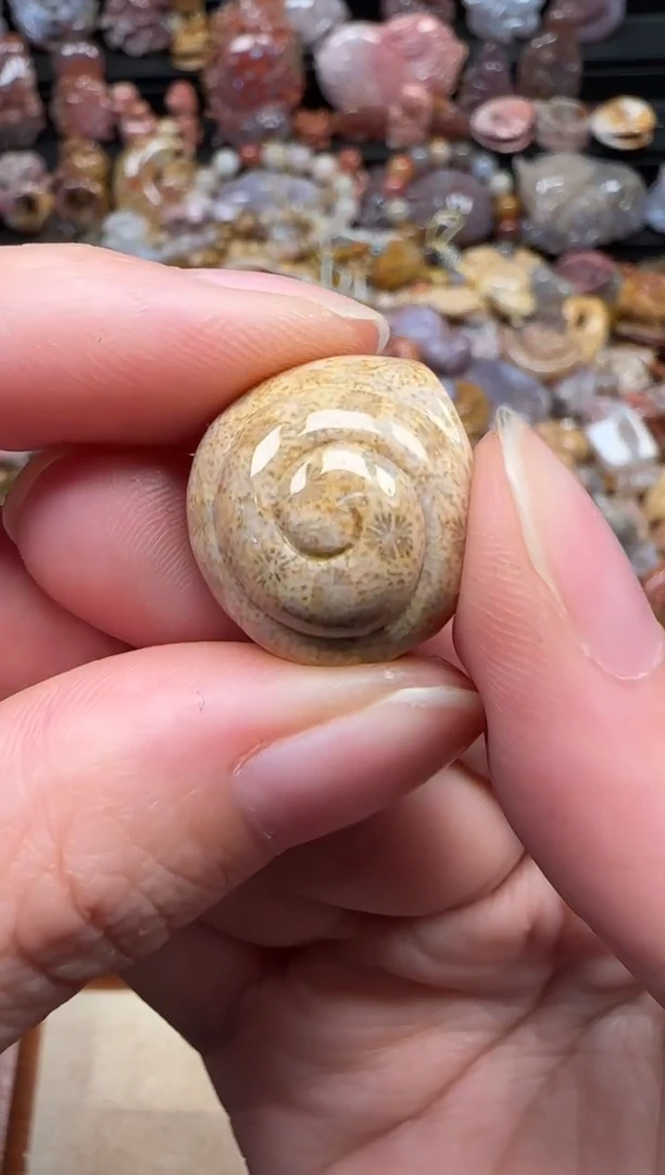 颈饰未镶嵌硅化珊瑚（珊瑚玉）347