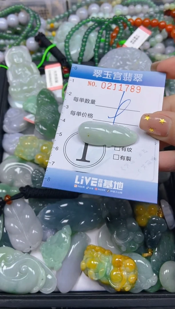 颈饰未镶嵌翡翠闪购C0211789