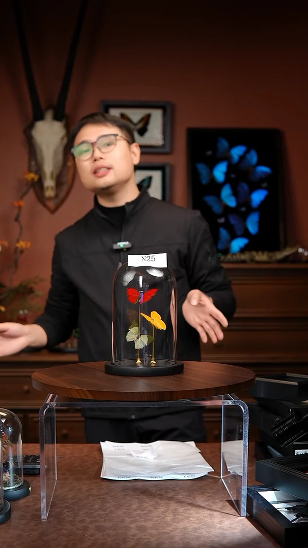 N25红黄绿组合玻璃罩