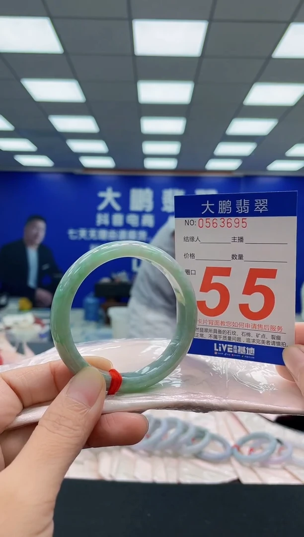 未镶嵌手镯翡翠AAAAAAAAA