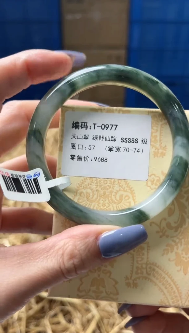 未镶嵌手镯石英质玉T0977