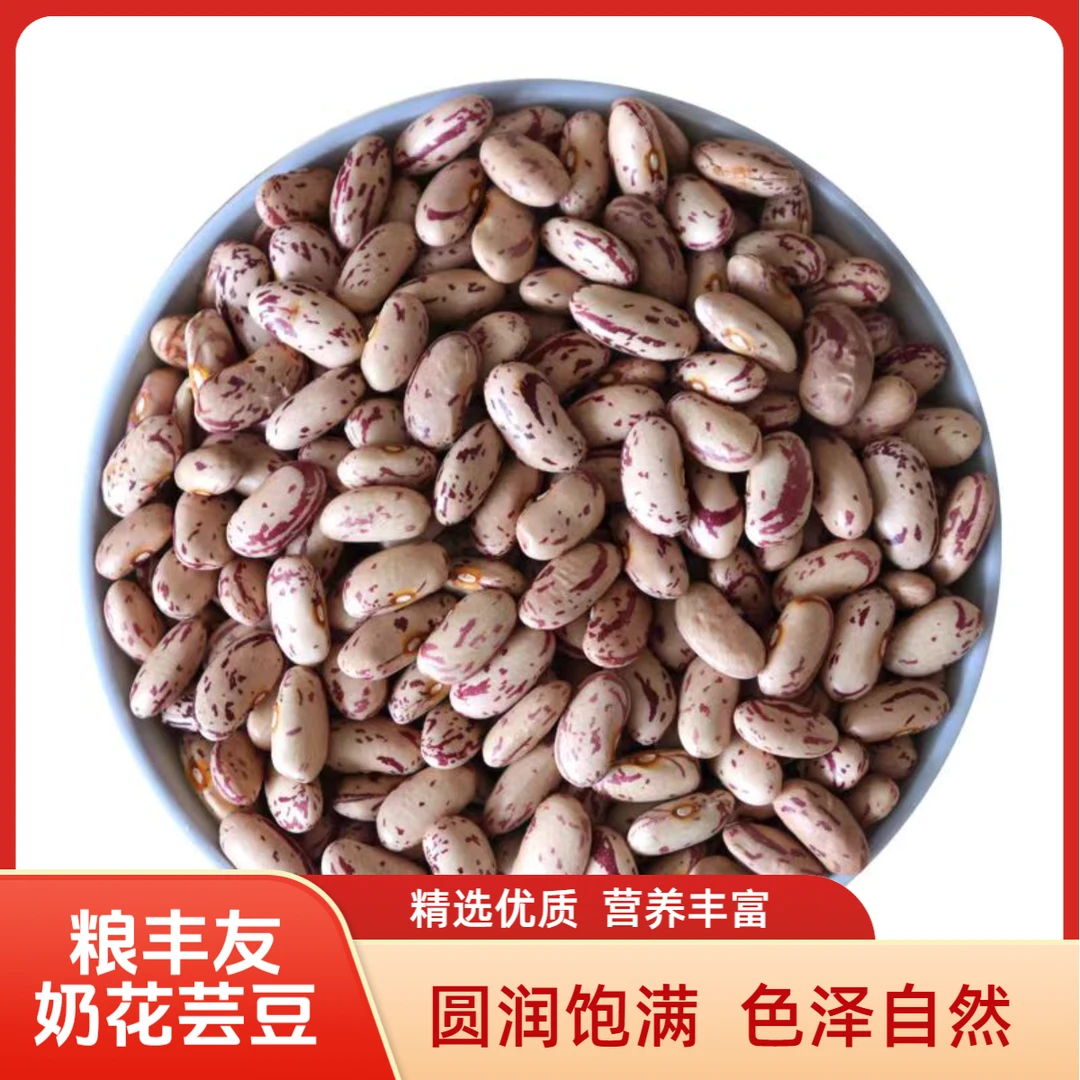 【东北奶花芸豆】正宗黑龙江奶花芸豆花豆煮粥豆包馅打豆浆煲汤