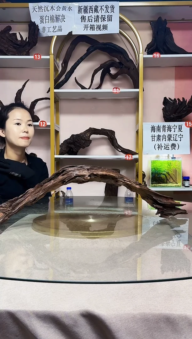 章*山丘沉木一物一拍A563