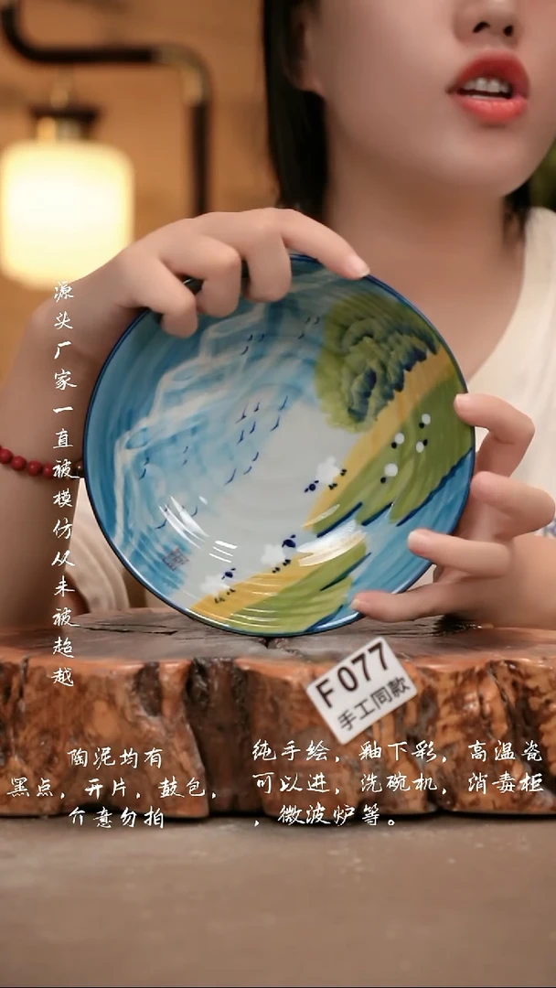 其他F077 新十二器