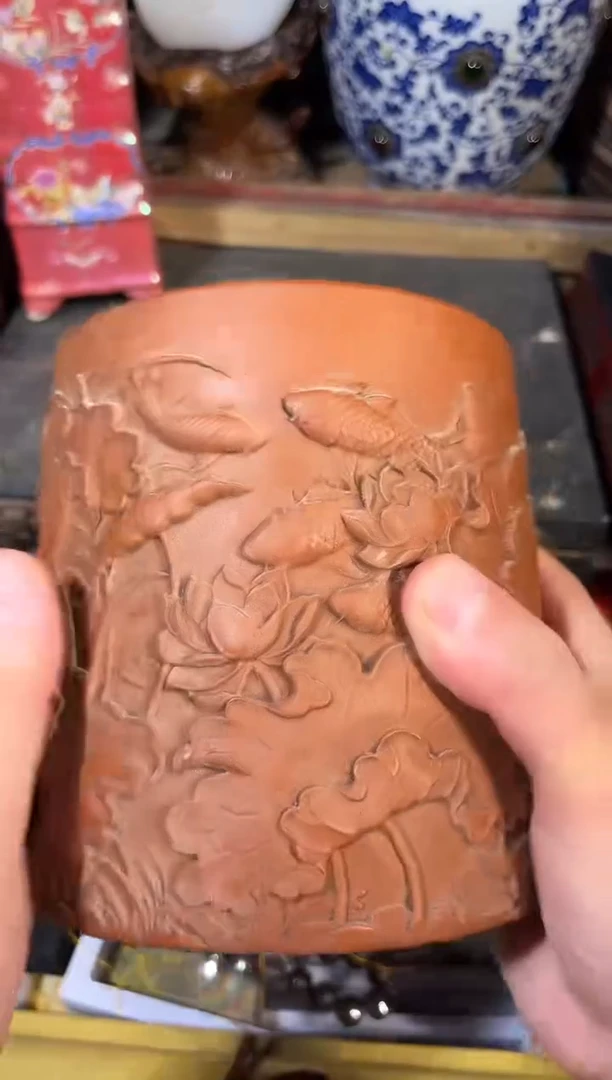 黄杨木111111111113