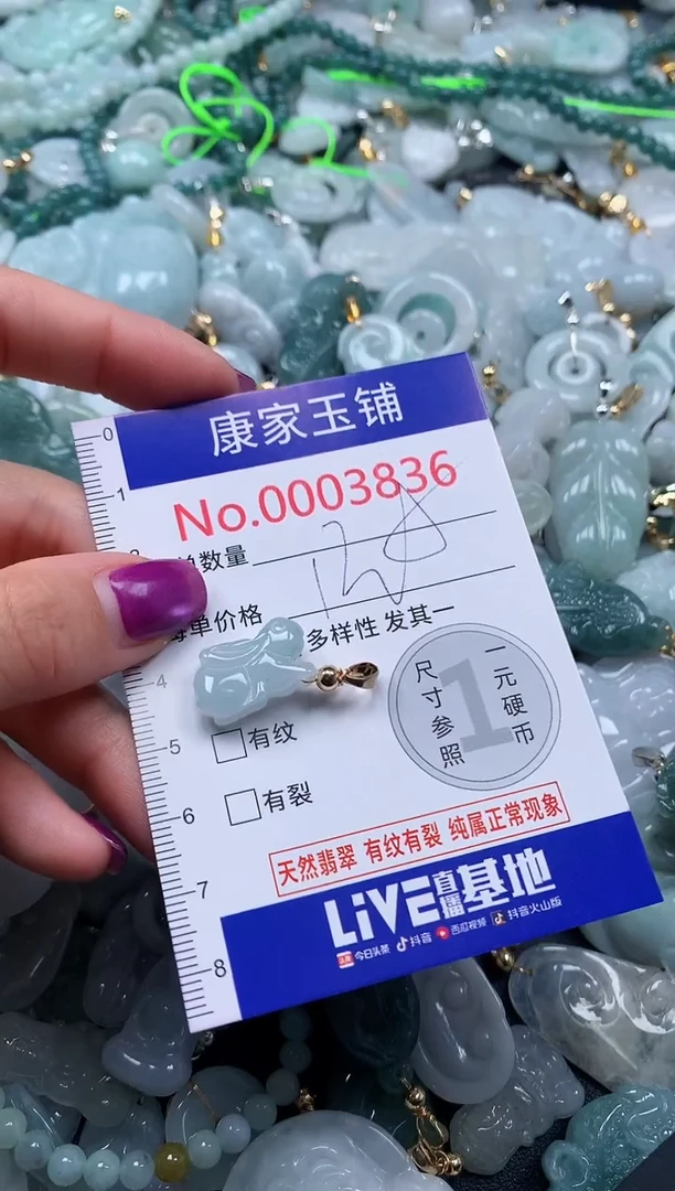 颈饰未镶嵌翡翠3836