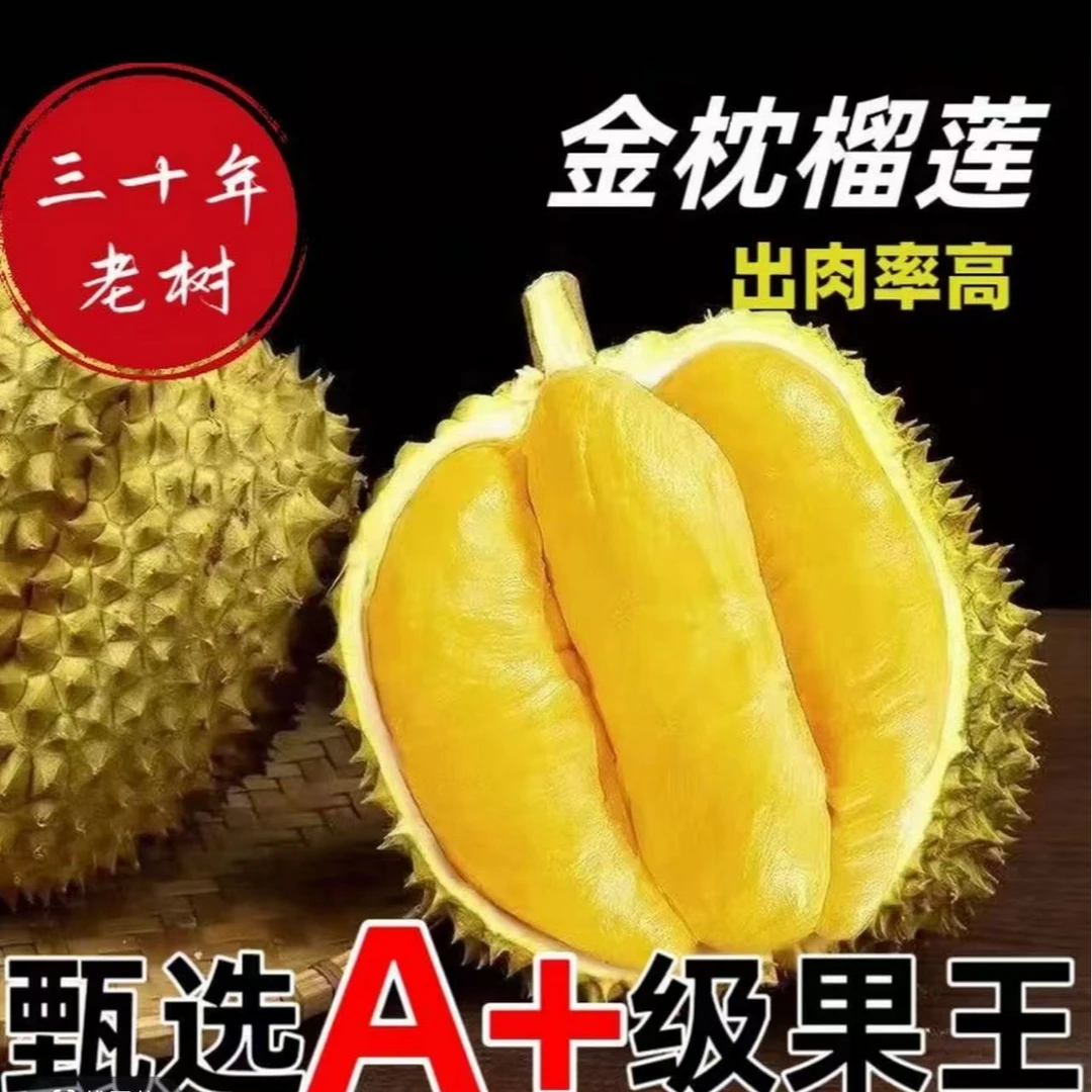 泰国东部金枕榴莲树上熟大果  正宗金枕榴莲