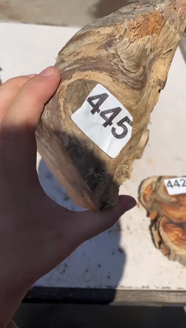 柏木（崖柏）沱****牛太行陈化崖柏坨坨（津诚林）445
