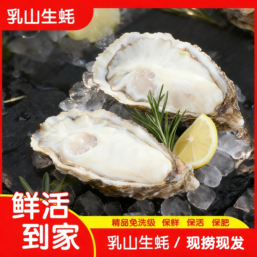 【买5斤送5斤】正宗乳山特产精品生蚝壳薄肉肥刺身免洗级新鲜牡蛎