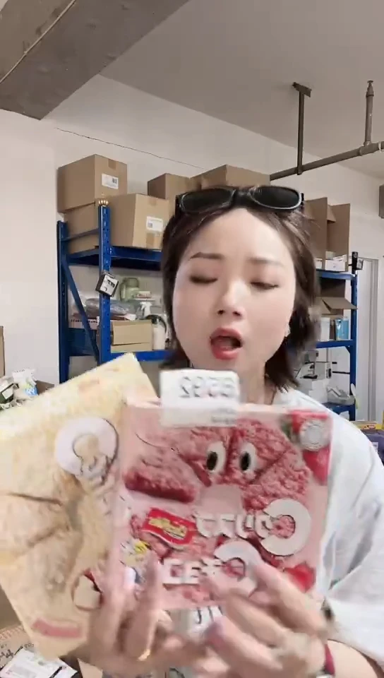 瓷片进口家用百货饼干两盒不同口味B592