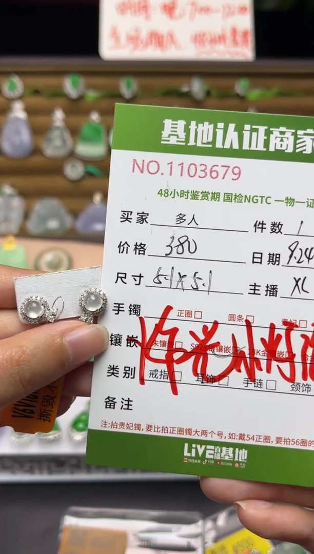 银S925镶嵌翡翠耳饰多人