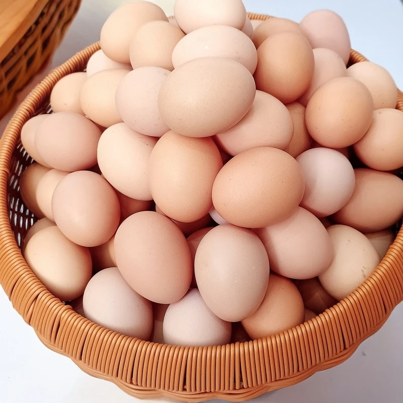 冉家山（剑门关散养土鸡蛋、新鲜营养丰富）